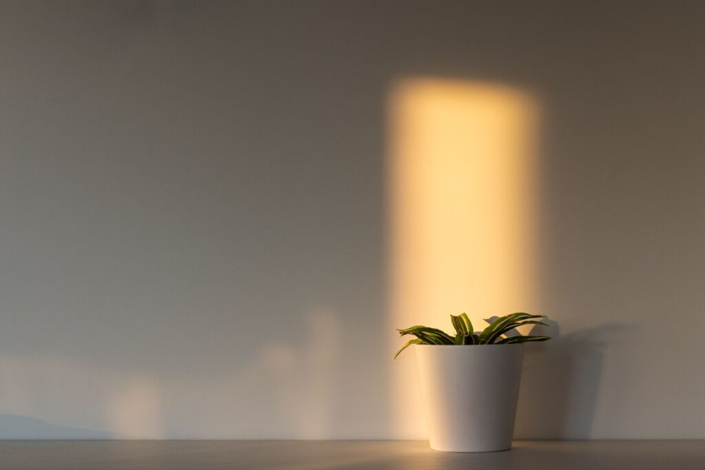 Le mur blanc est-il vraiment un choix neutre ?